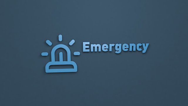 Fonds d&#x27;urgence RISC.png